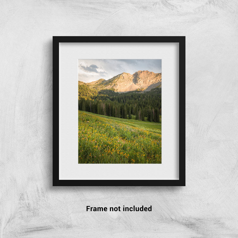 Sunset over Mount Baldy in Alta UT framed on the wall