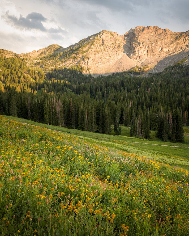 Sunset over Mount Baldy in Alta UT