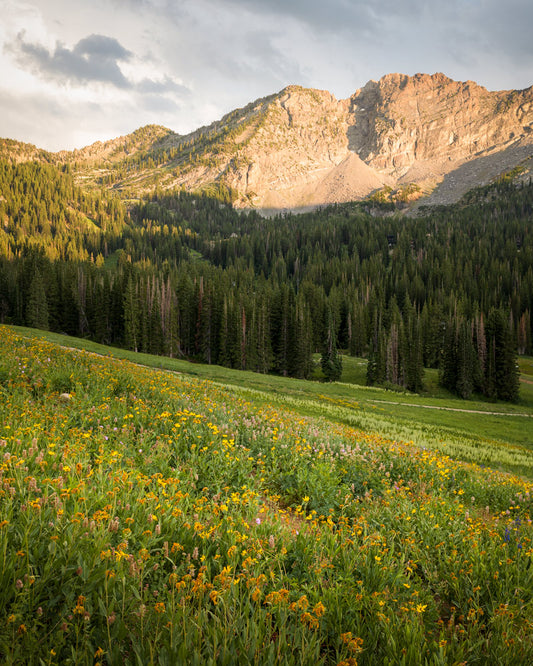 Sunset over Mount Baldy in Alta UT
