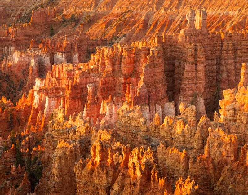 Bryce Canyon National Park at Sunrise