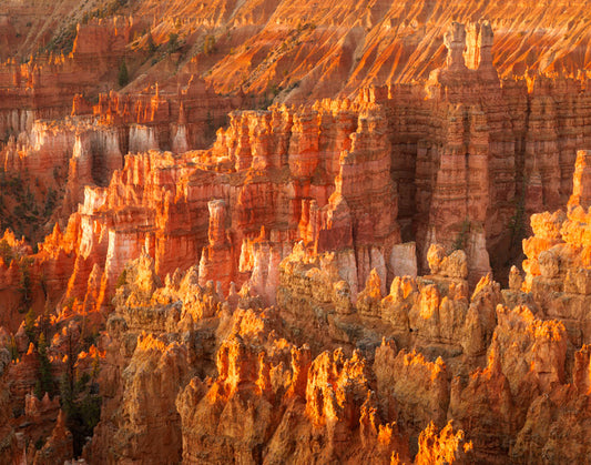 Bryce Canyon National Park at Sunrise