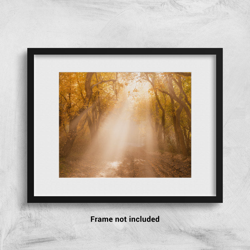 Fall Light Rays in Provo, UT framed on the wall