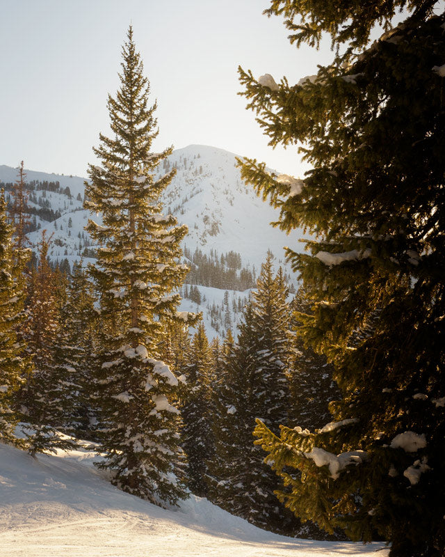 Mt. Millicent in the Snow