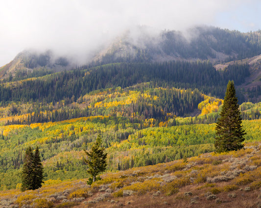Moody Guardsman Pass in the fall