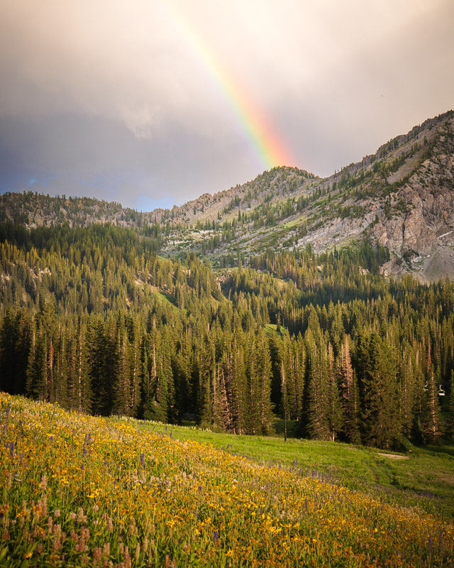 Rainbow over Sugarloaf Mountain in Alta, UT