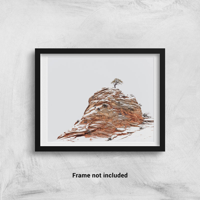 A lone tree in the winter framed on a wall