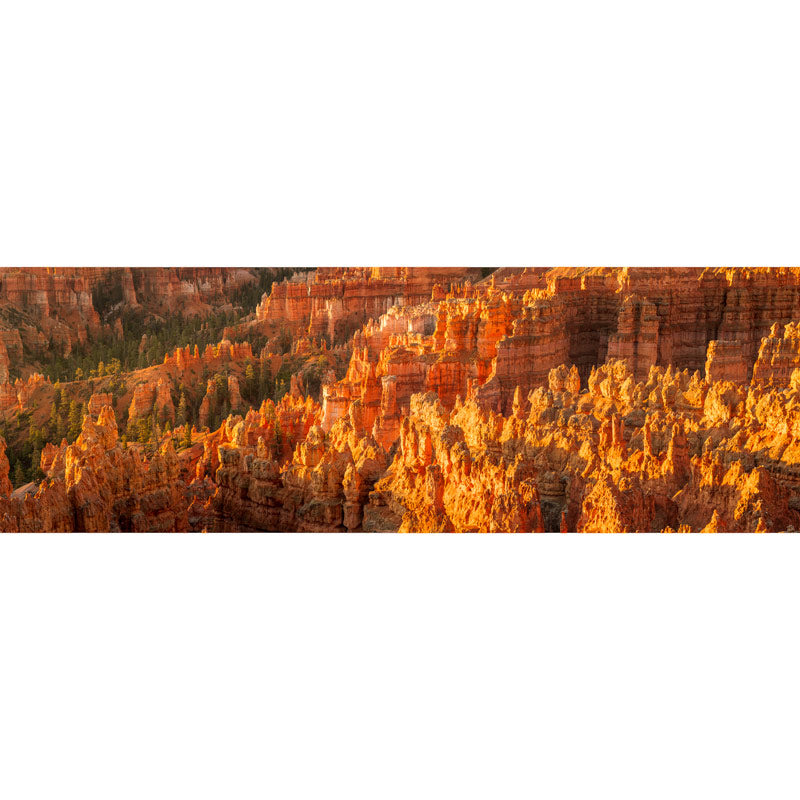 Panorama of Bryce Canyon at Sunrise