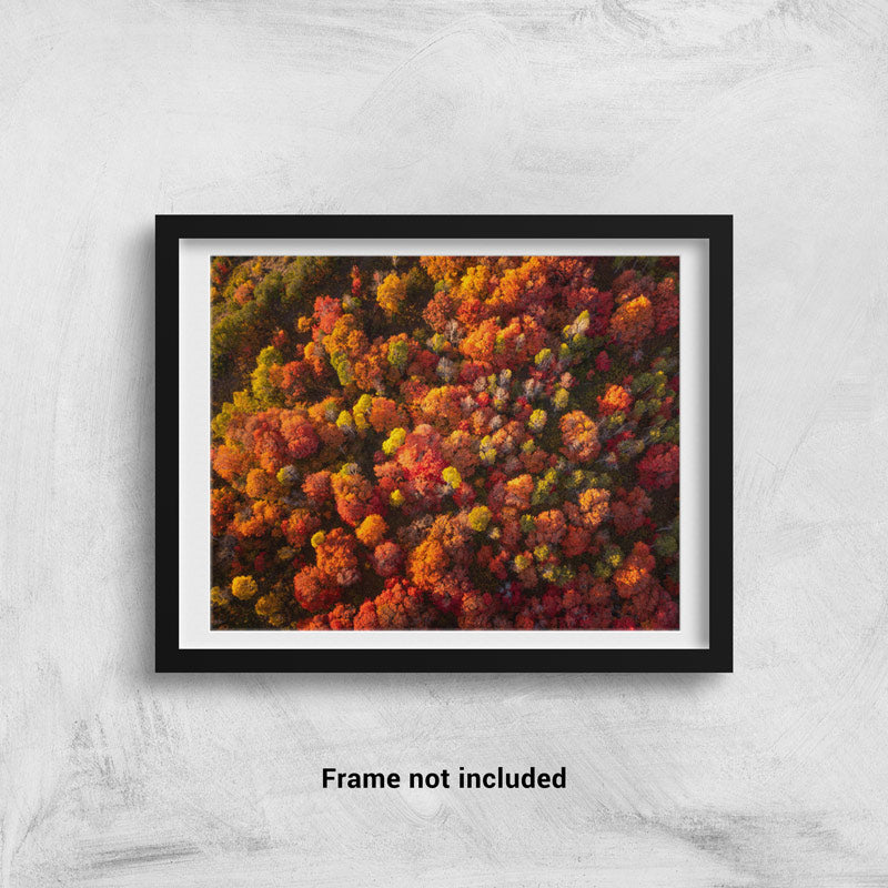 Vibrant red trees in the fall from above in Utah framed on a wall