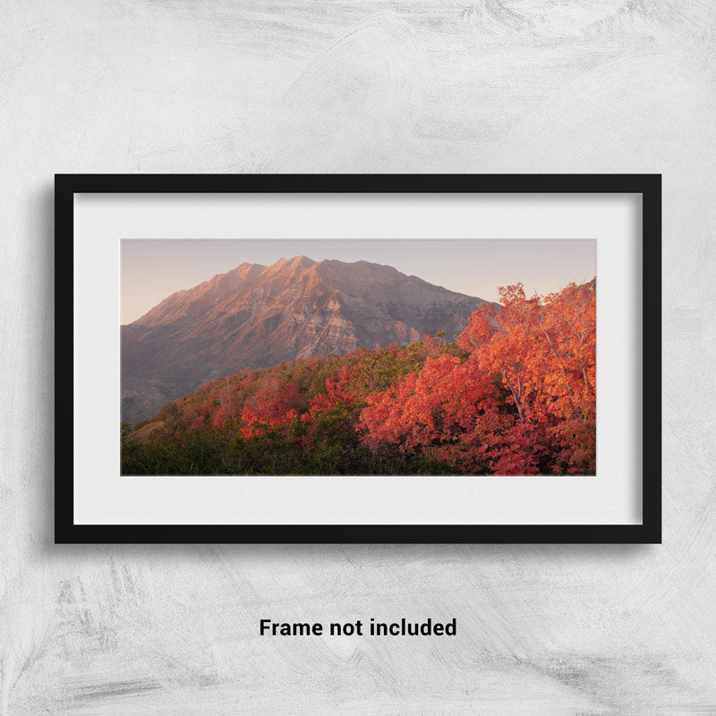 Mt. Timp in the fall framed on the wall