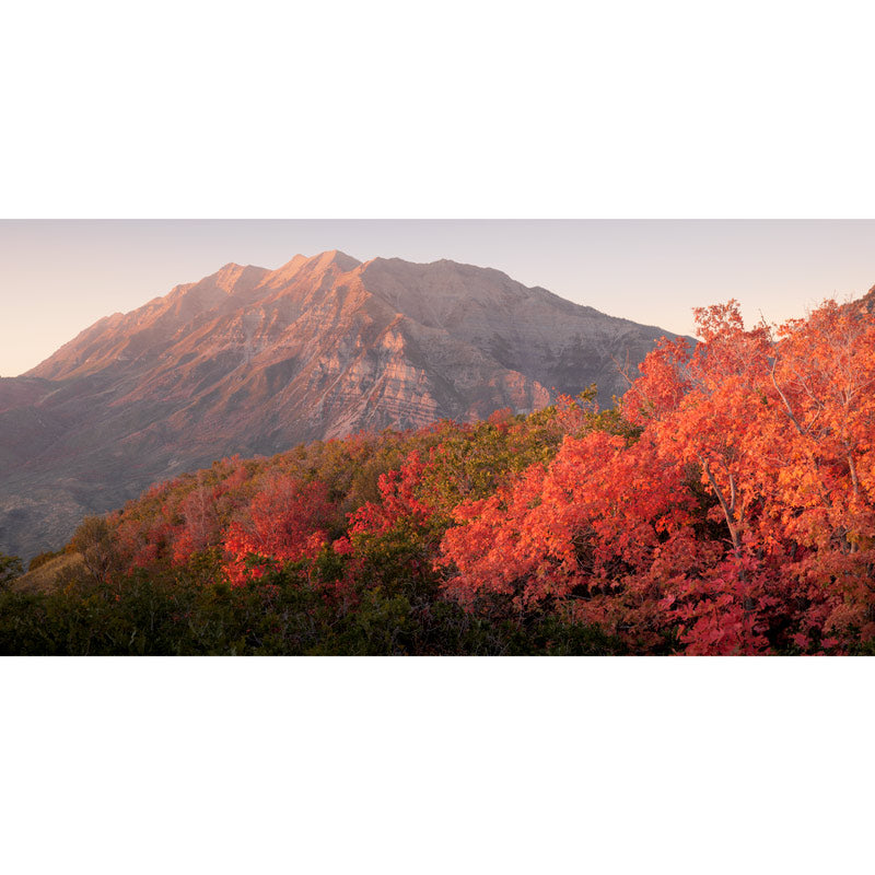 Mt. Timp in the fall