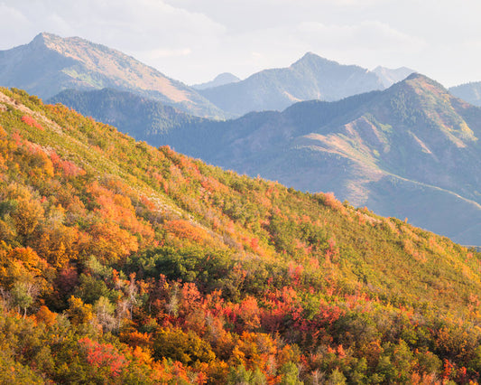 Wasatch Mountains in the fall