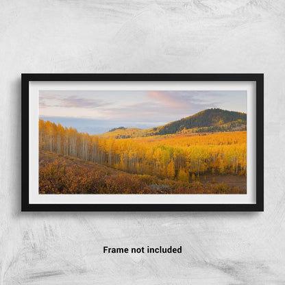 A sunrise panorama of golden aspen trees in Utah framed on a wall